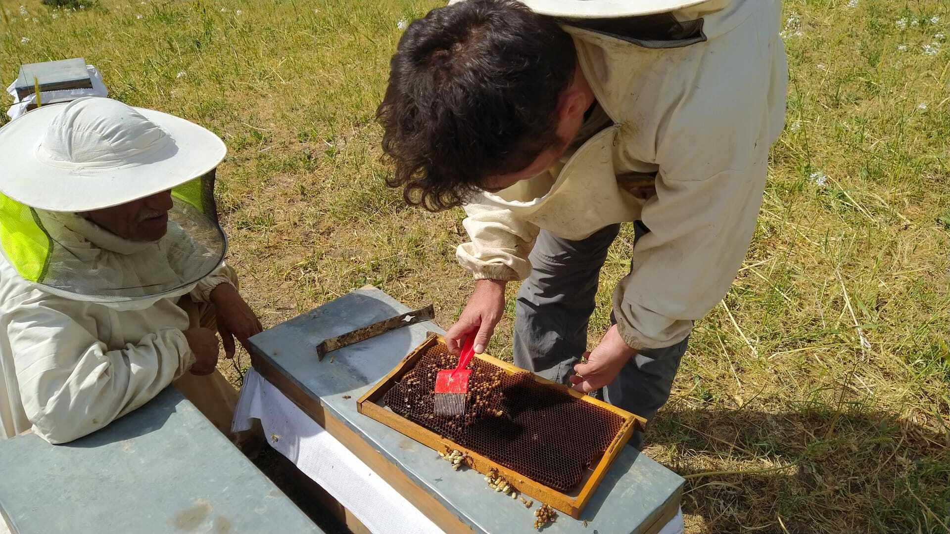 sirnakta-ari-virus-hastaliklari-arastirildi