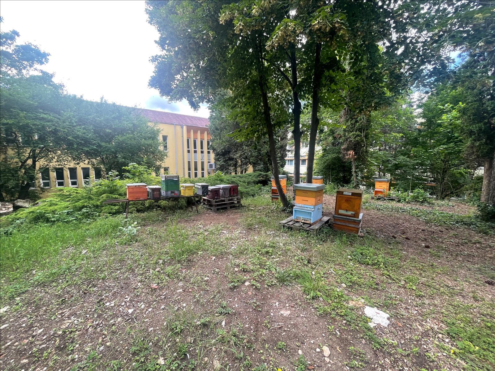 Arıcılık Araştırma, Geliştirme Uygulama Ve Araştırma Merkezi