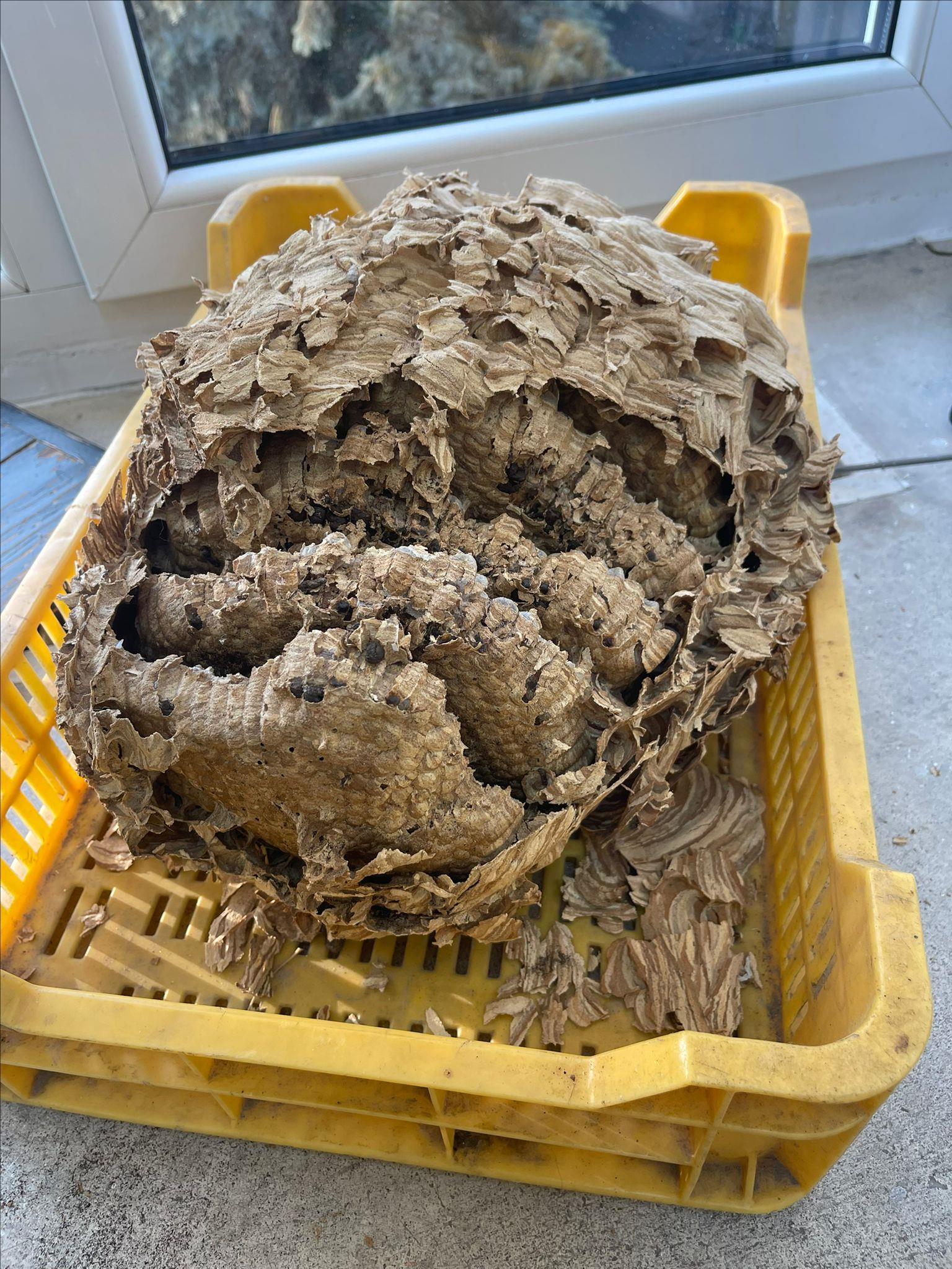 Arıcılık Araştırma, Geliştirme Uygulama Ve Araştırma Merkezi